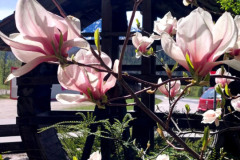 Frühstückspension Route 145 - bed and breakfast in Bad Goisern in der Dachstein-Salzkammergut-Region