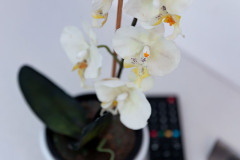 Zimmer 2 mit Doppelbett und Balkon in der Frühstückspension Route 145 - Zimmer/bed and breakfast in Bad Goisern in der Dachstein-Salzkammergut-Region