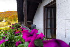 Zimmer 3 mit Doppelbett und Balkon in der Frühstückspension Route 145 - Zimmer/bed and breakfast in Bad Goisern in der Dachstein-Salzkammergut-Region