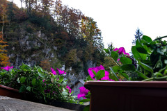 Zimmer 3 mit Doppelbett und Balkon in der Frühstückspension Route 145 - Zimmer/bed and breakfast in Bad Goisern in der Dachstein-Salzkammergut-Region