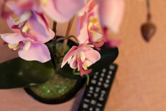 Zimmer 4 mit Doppelbett in der Frühstückspension Route 145 - Zimmer/bed and breakfast in Bad Goisern in der Dachstein-Salzkammergut-Region